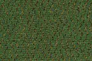 Ковролин Desso Champion 7843 фото  | FLOORDEALER