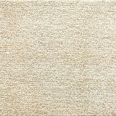 Ковролин Tarkett Dragon Dragon 10231 фото 1 | FLOORDEALER