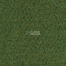 Ковролин Desso Champion 7843 фото 1 | FLOORDEALER