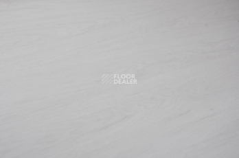 Кварцвиниловые полы Evofloor Optima Click 4.2мм Дуб Арктический фото 1 | FLOORDEALER