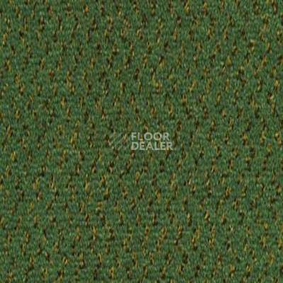 Ковролин Desso Champion 7843 фото 1 | FLOORDEALER