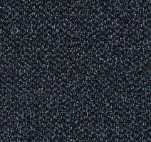 Грязезащитные покрытия Forbo Coral Marine FR 4207 Panama Blue фото 1 | FLOORDEALER