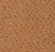 Ковролин Vorwerk Passion 1047 Vorwerk 1n14 фото 1 | FLOORDEALER