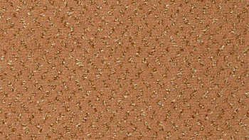 Vorwerk Passion 1047 Vorwerk 1n14 фото 1 | FLOORDEALER