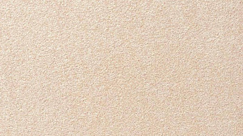 Ковролин Vorwerk Passion 1004 Vorwerk 1m04 фото 1 | FLOORDEALER