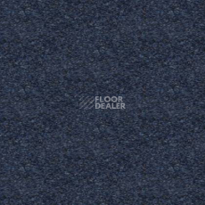 Ковролин Tapibel Spirit 8898 фото 1 | FLOORDEALER