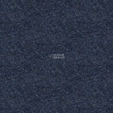 Tapibel Spirit 8898 фото 1 | FLOORDEALER