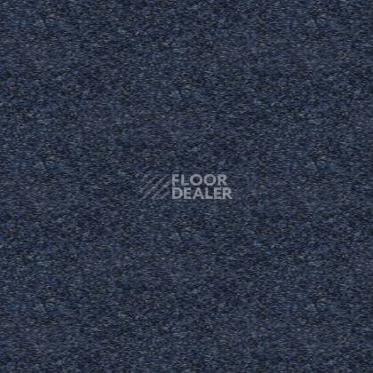 Ковролин Tapibel Spirit 8898 фото 1 | FLOORDEALER