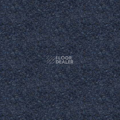 Ковролин Tapibel Spirit 8898 фото 1 | FLOORDEALER