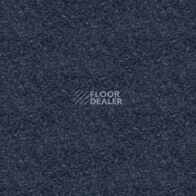 Ковролин Tapibel Spirit 8898 фото 1 | FLOORDEALER