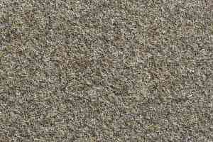 Ковролин Bonkeel Show NP 63 LV фото  | FLOORDEALER