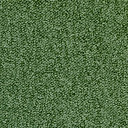 Ковролин Desso Pallas-Brlm 2033  | FLOORDEALER