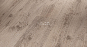 Ламинат Parador Classic 1050 4V 1517691 Дуб Традиция Серо-бежевый фото 1 | FLOORDEALER