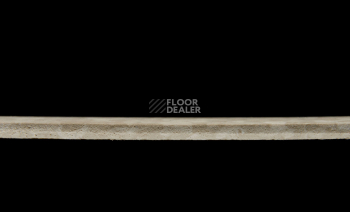 Tarkett iq Melodia 2613 фото 4 | FLOORDEALER