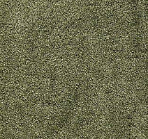 Ковролин AW Radiant 21 фото 1 | FLOORDEALER