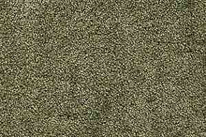 Ковролин AW Radiant 21 фото  | FLOORDEALER