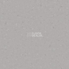 Линолеум Tarkett iq Melodia 2650 фото 1 | FLOORDEALER