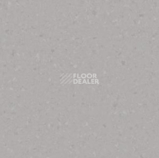 Линолеум Tarkett iq Melodia 2650 фото 1 | FLOORDEALER
