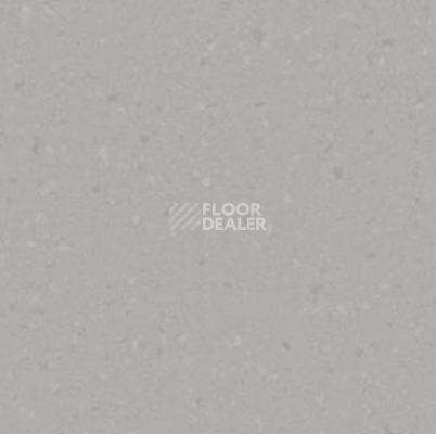 Линолеум Tarkett iq Melodia 2650 фото 1 | FLOORDEALER