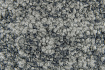 Imperfection Коллекция Grit Grit 545 фото 5 | FLOORDEALER