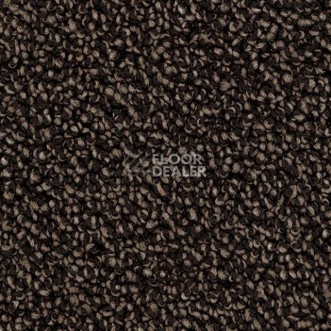 Ковролин Desso Cassini 9106 фото 1 | FLOORDEALER