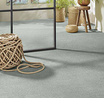 Vorwerk Superior 1065/Viola Vorwerk 4g79 фото 2 | FLOORDEALER