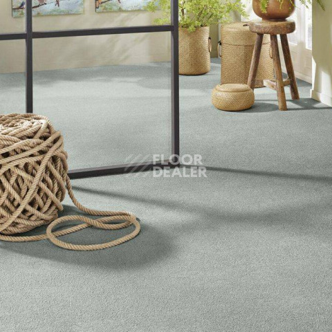 Vorwerk Superior 1065/Viola Vorwerk 4g79 фото 2 | FLOORDEALER