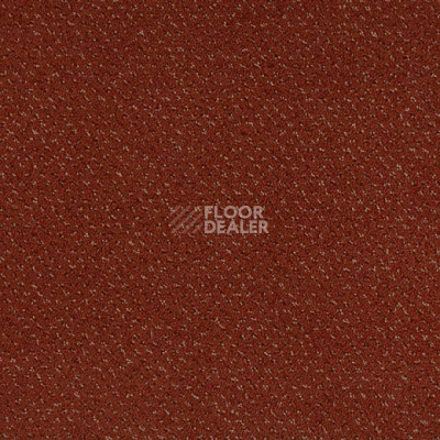 Ковролин Lano Square 312 фото 1 | FLOORDEALER