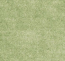 Ковролин AW The Velvet Omphale 24 фото 1 | FLOORDEALER