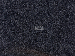 Ковролин Balta Stormont Twist Stormont Twist 0980 фото 1 | FLOORDEALER