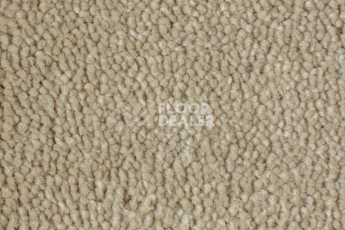 Ковролин Edel Vanity 146 фото 1 | FLOORDEALER