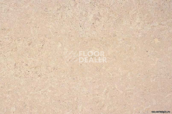 Eco Cork замковое Madeira Crème фото 2 | FLOORDEALER