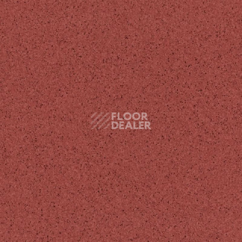 Линолеум Tarkett Primo Plus Depot Primo 306 фото 1 | FLOORDEALER
