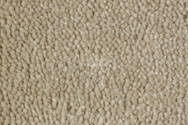 Ковролин Edel Vanity 146 фото 1 | FLOORDEALER