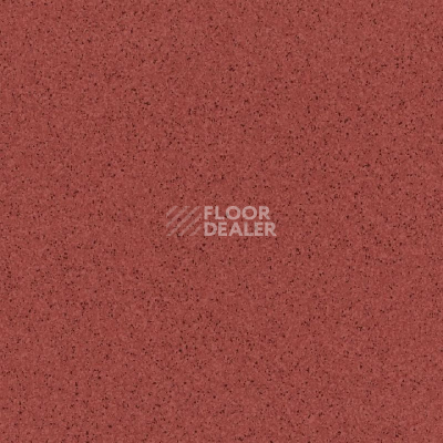Линолеум Tarkett Primo Plus Depot Primo 306 фото 1 | FLOORDEALER