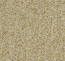 Ковролин Balta ITC Sirious 23 фото 1 | FLOORDEALER