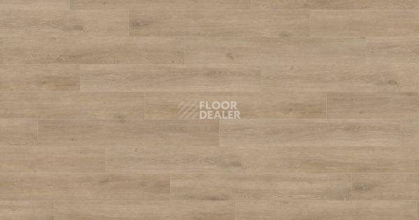 Ламинат Haro Tritty 200 Aqua 4V ДУБ ВЕНЕТО КРЕМОВЫЙ 541560 фото 1 | FLOORDEALER