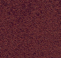 Ковролин AW Tendresse 11 фото 1 | FLOORDEALER