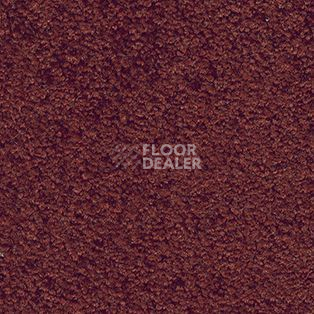 Ковролин AW Tendresse 11 фото 1 | FLOORDEALER