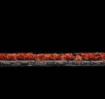 Balsan Take a Walk 540 Take a Walk фото 5 | FLOORDEALER