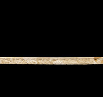 Tarkett Primo Plus 302 фото 3 | FLOORDEALER