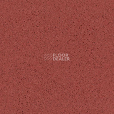 Линолеум Tarkett Primo Plus 306 фото 1 | FLOORDEALER