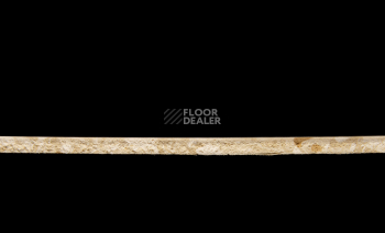 Tarkett Primo Plus 302 фото 3 | FLOORDEALER