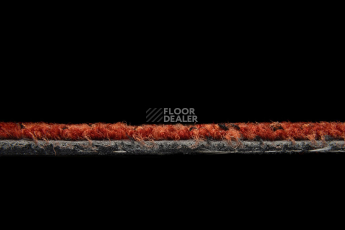 Balsan Take a Walk 540 Take a Walk фото 5 | FLOORDEALER