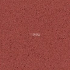 Tarkett Primo Plus 306 фото 1 | FLOORDEALER