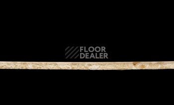 Tarkett Primo Plus 302 фото 3 | FLOORDEALER