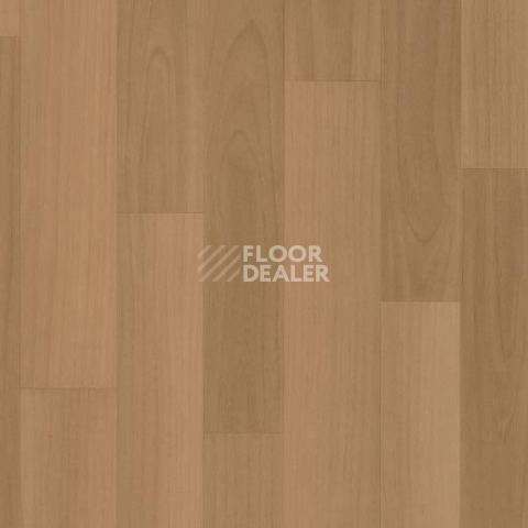 Линолеум Forbo SureStep Wood Decibel 71816 фото 1 | FLOORDEALER