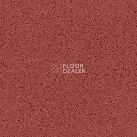 Линолеум Tarkett Primo Plus 306 фото 1 | FLOORDEALER