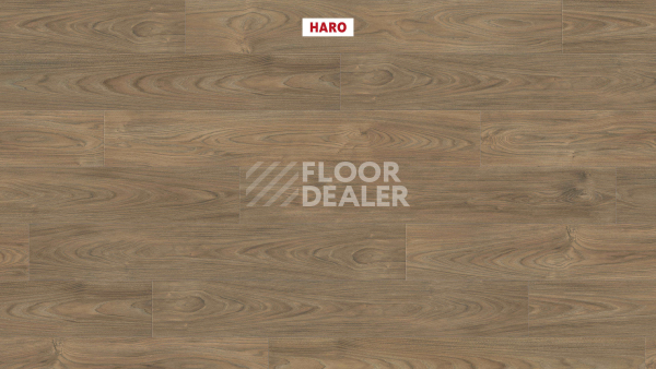Ламинат Haro Tritty 100 4V Вяз Варио 544720 фото 2 | FLOORDEALER