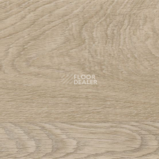 Линолеум Taralay Initial Compact (wood) 0828 Habana Beige фото 1 | FLOORDEALER